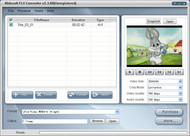 Nidesoft FLV Converter screenshot